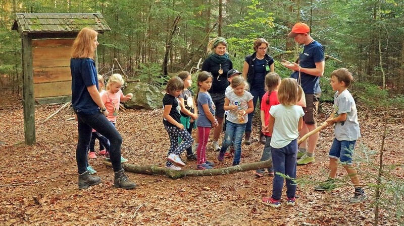 Im Wald herumstreifen und mit allen Sinnen die Natur entdecken - das können Kinder beim Ferienprogramm des Nationalparks.
