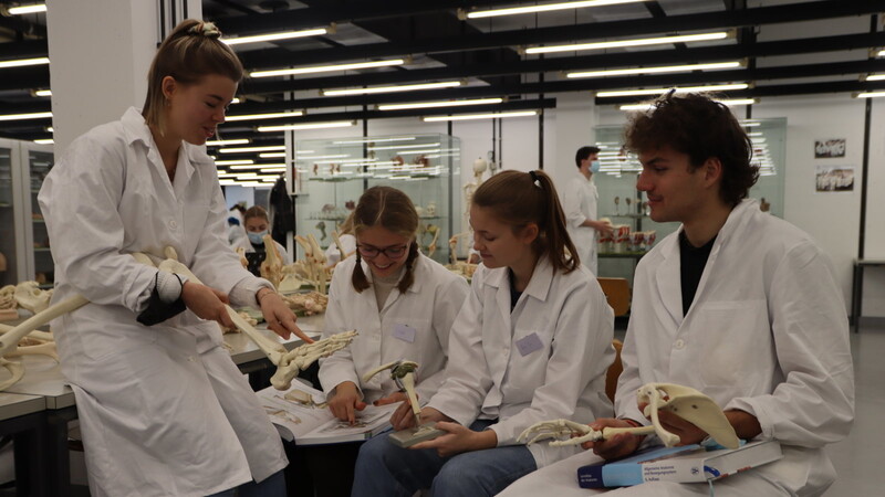 Die Studierenden Vanessa-Isabell Krüger, Lisa Ebner, Lena Dudziak und Lucas Lehner (v.li.) arbeiten in ihrer Ausbildung an konservierten menschlichen Leichen.