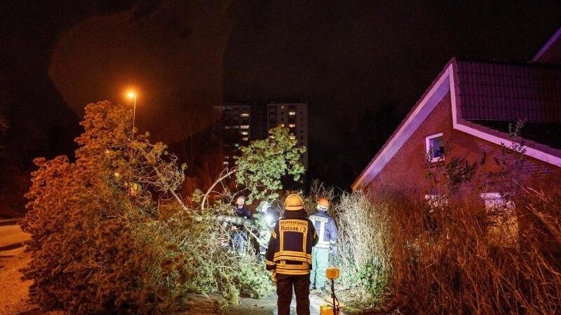 Einsatzkräfte der Freiwilligen Feuerwehr Kiel-Russee räumen eine von umgeknickten Bäumen blockierte Straße.