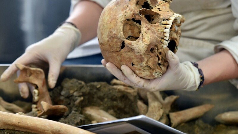 In einem Waldstück bei Katzdorf in der Oberpfalz sind am 10. Mai menschliche Knochen gefunden worden.
