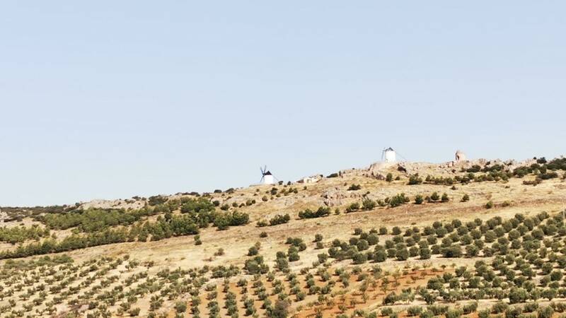 Durchs Land des Don Quijote führt die vorletzte Etappe der Chamer Rallye-Fahrer.