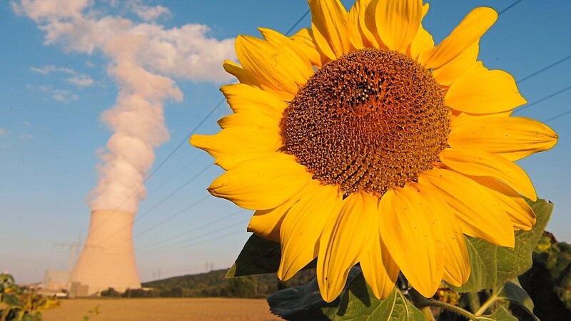 "Es wäre klug, die Kernkraftwerke weiter laufen zu lassen. Sie tragen noch immer etwa halb so viel zur emissionsarmen Stromerzeugung bei wie alle Photovoltaikanlagen in Deutschland zusammen.", sagt Friederich.