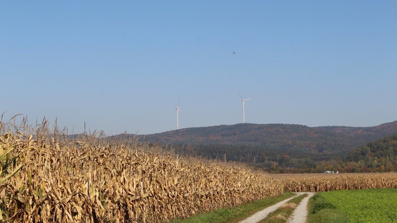 Zwei Windkraftanlagen gibt es bereits im Windpark Schiederhof im Waxenberger Forst bei Wiesenfelden. Das Landratsamt Straubing-Bogen hat nun ein drittes Windrad genehmigt. Im kommenden Jahr soll es errichtet werden und in Betrieb gehen.