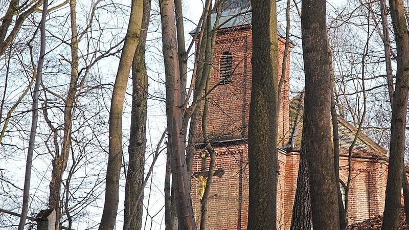 Zwischen den Bäumen des Waldes am Kapellenberg ist die Lourdeskapelle zu sehen.