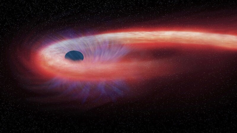 Diese von der NASA bereitgestellte grafische Darstellung zeigt einen Stern, der von einem schwarzen Loch geschluckt wird und dabei einen roten Schweif aus Röntgenstrahlen hinter sich lässt.