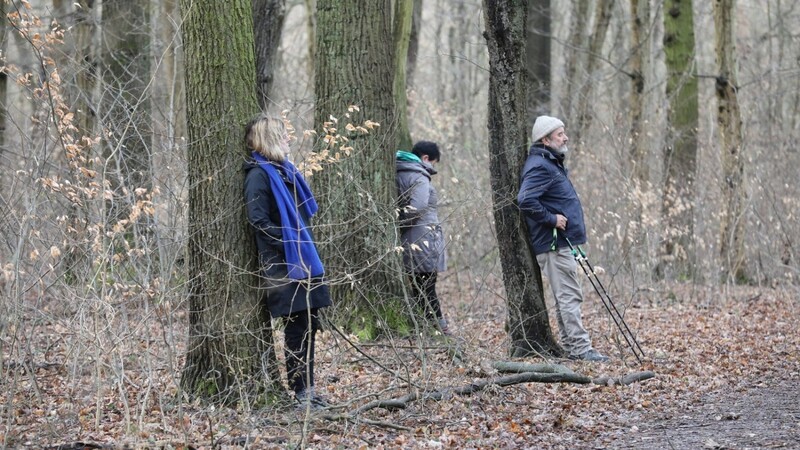 Teilnehmer einer "Achtsamzeit" meditieren an Bäumen im Nationalpark Hainich in Thüringen.
