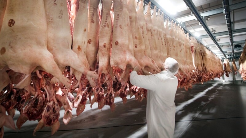 Mindestens 40 Prozent der Schlachtungen sollen mittelfristig, spätestens in zehn Jahren, in kleinen und mittelständischen Betriebsstrukturen stattfinden, fordern die Grünen.