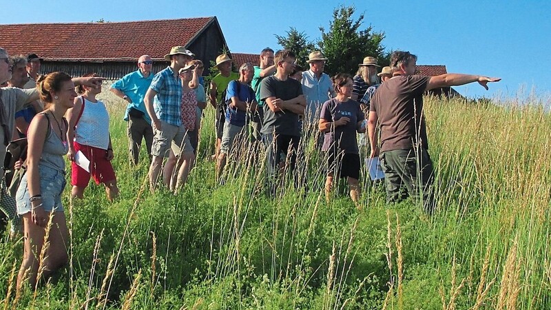 Die Initiatoren setzen sich für den Schutz der artenreichen Wiesen am Roßberg ein.