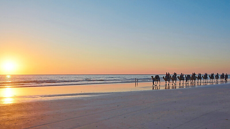 Der Cable Beach ist Treffpunkt für Einheimische und Touristen gleichermaßen. Hier wandert eine Kamelkarawane der untergehenden Sonne entgegen.