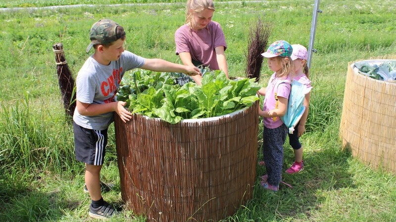 Wie Salat, Kohl und Co. wachsen, zeigt Schefers den Kids gerne.