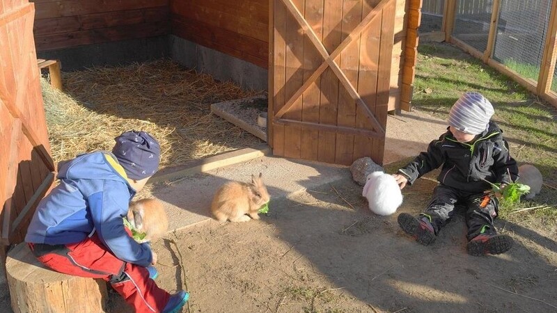 Viel Freude bereitet den Kindern das morgendliche Füttern der Kaninchen, die im Bauernhofkindergarten bereits beheimatet sind.