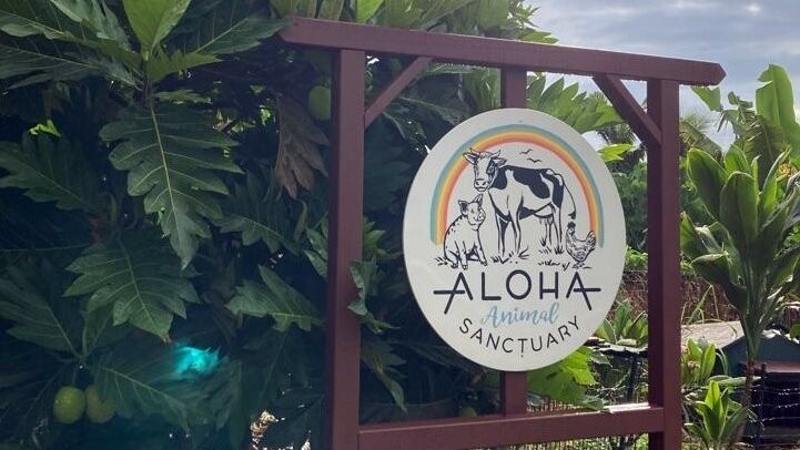 Ihr neuer Arbeitsplatz auf Zeit: das ?Aloha Animal Sanctuary? auf Hawaii.