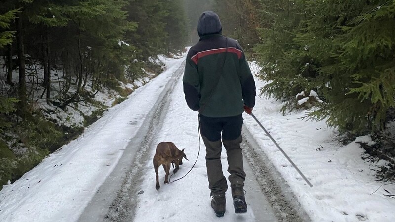 Mit seinem Hund Alois ist Joschija Späthe im Forstrevier Arnbruck unterwegs.