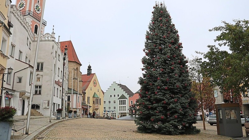 Der Christbaum auf dem Marktplatz ist schon geschmückt. Was noch fehlt, ist die Budenstadt.