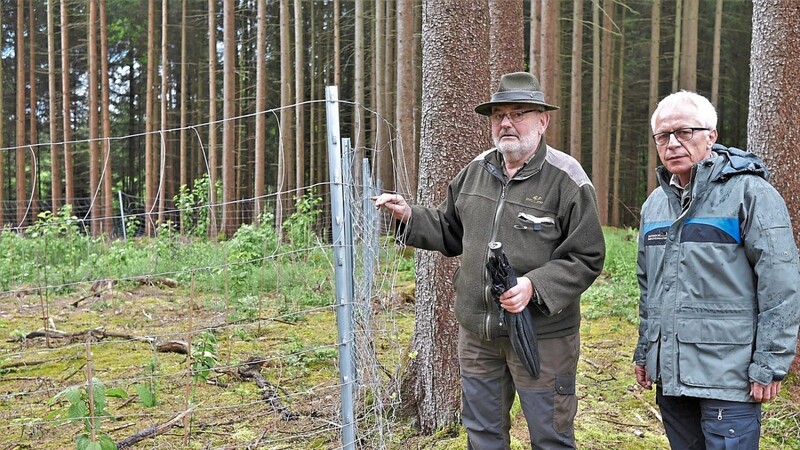 Walter Schubach (r.) und Franz Haböck appellieren an die Vernunft der Waldbesitzer.