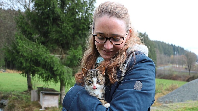 Das neueste Sorgenkind der Tierfreundin Silke Haimerl: Charly ist erst einige Wochen alt und leidet am Katzenschnupfen. "Ich hoffe, ich kriege ihn durch", so Haimerl.
