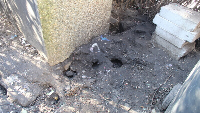 Der Müllberg rund um den Mülltonnenstellplatz ist zwar weg, aber die zahllosen Rattenlöcher zeugen davon, dass hier viele Ratten unterwegs sind.