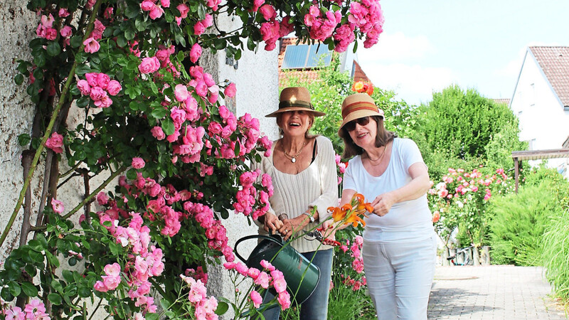 Nur mit Hut und Sonnenbrille zeigen sich die beiden Bewohnerinnen der Gartenhofhäuser beim Pflegen der Rosen. Sie wollen sich nicht in den Vordergrund drängen, weil der Rosenweg doch ein Gemeinschaftsprojekt sei.