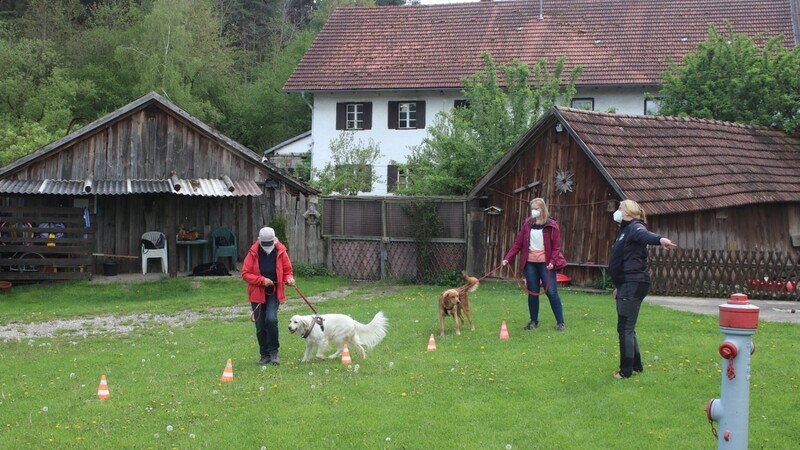 Kerstin Täuber (rechts) zeigt Hunden und Haltern, wo es lang geht.