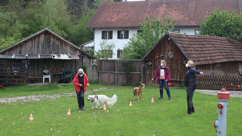 Kerstin Täuber (rechts) zeigt Hunden und Haltern, wo es lang geht.