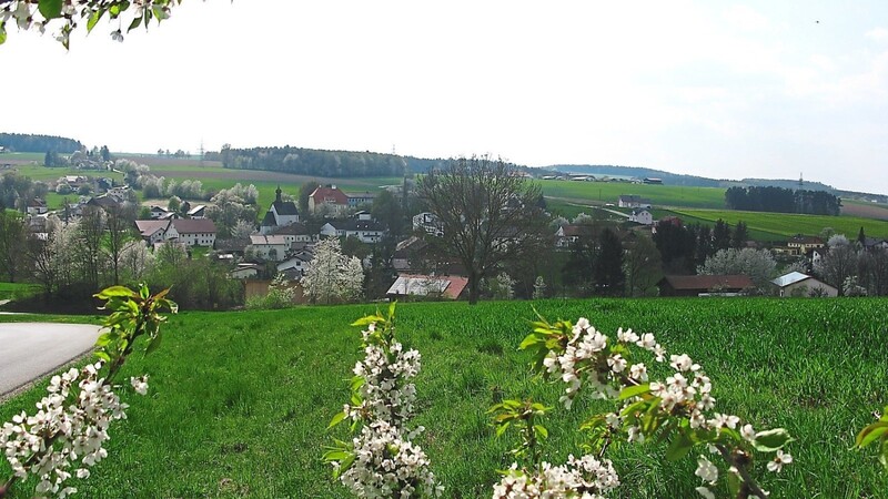 Blick auf Obertrübenbach: Der heutige Tipp für Naturgärten stammt vom Gartenbauverein aus diesem Ort.