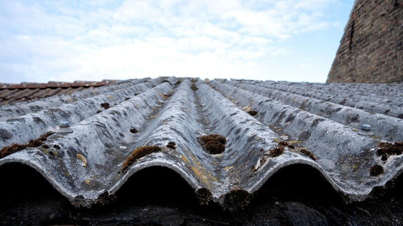 Ein Waldbesitzer hat illegal abgelagerte Asbestplatten gefunden. (Symbolbild)