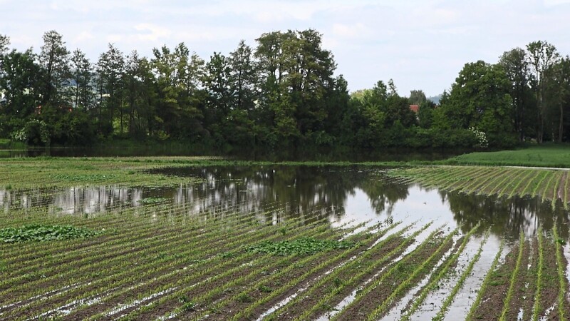 Ein großes Problem ist wildabfließendes Wasser, das sich bei Starkregen auf der Fläche sammelt.