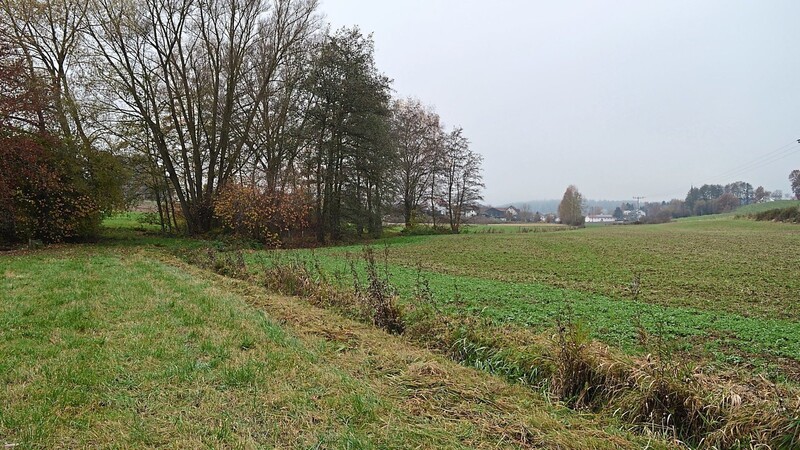 Dieser Abschnitt des Hornbachs zwischen Nieder- und Oberhornbach (Foto in Blickrichtung Oberhornbach) soll renaturiert werden. Rechts neben dem Bach soll eine Retentionsmulde entstehen.