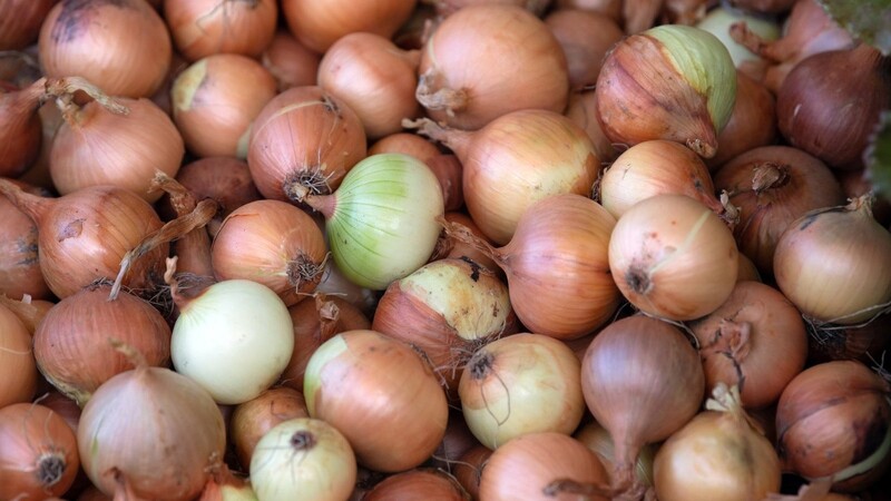Von einem Feld in Obermoos sind etwa 500 Kilogramm Zwiebeln gestohlen worden. (Symbolbild)