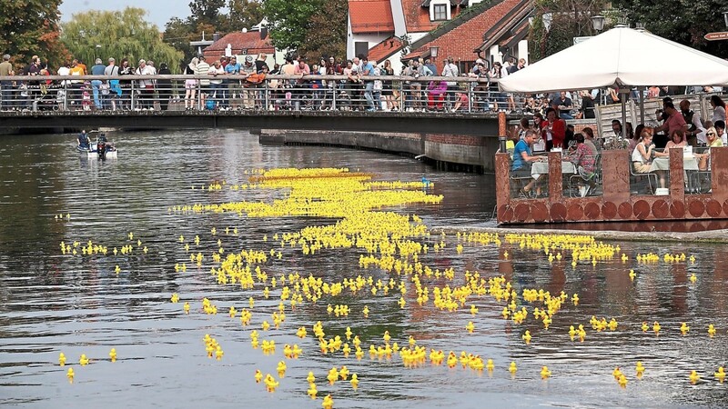 Die gelben Rennenten schwimmen auf der Isar um die Wette. Ein Spektakel, das zahlreiche Zuschauer mitverfolgen.