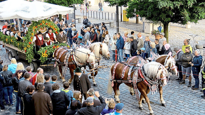 Rund 3 330 Personen, 80 Gruppen und Vereine, 60 Kutschen, 115 Pferde und vier Ochsen zogen im traditionellen Volksfest-Auszug am Freitagabend zum Festplatz Am Hagen.