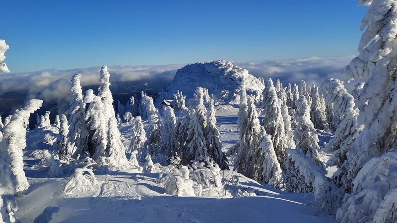 Immer montags heißt es "Auf ins Schneeabenteuer - mit großem Fuß durch den Lamer Winkel Winterwald.