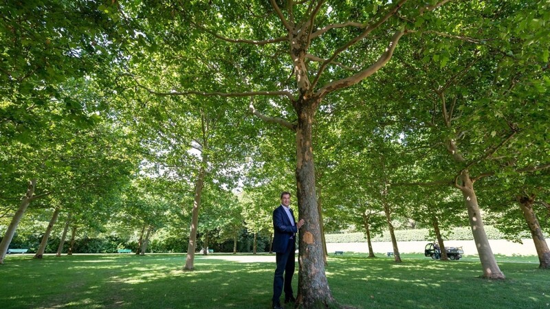 Idyllisch: Ministerpräsident Markus Söder (CSU) mit einem Baum im Hofgarten hinter der Bayerischen Staatskanzlei.