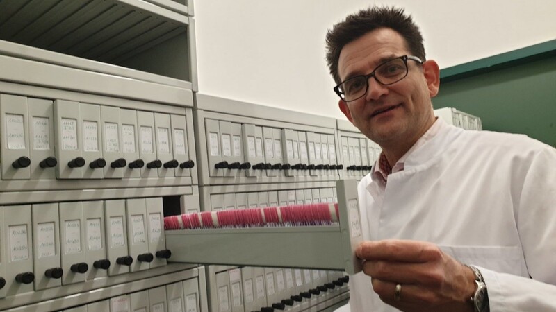 Millionen von Gewebeproben lagern in der Pathologie der Uniklinik Regensburg. Sie werden etwa 20 Jahre lang aufbewahrt.