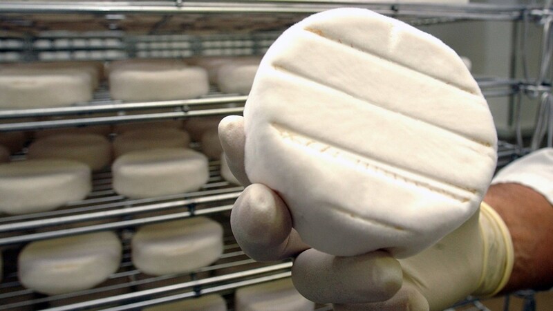 Eine französische Firma hat den Camembert wegen Verdacht auf unerwünschte Bakterien zurückgerufen. (Symbolbild)