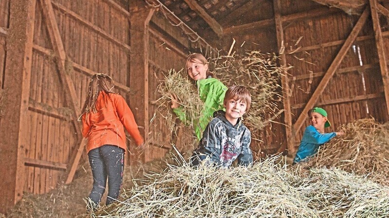 Die Landwirtschaftsverwaltung bietet ein Grundlagenseminar "Urlaub auf dem Bauernhof" an.