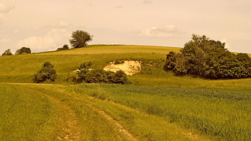 Mitten in der landwirtschaftlich genutzten Landschaft liegt die Sandgrube.