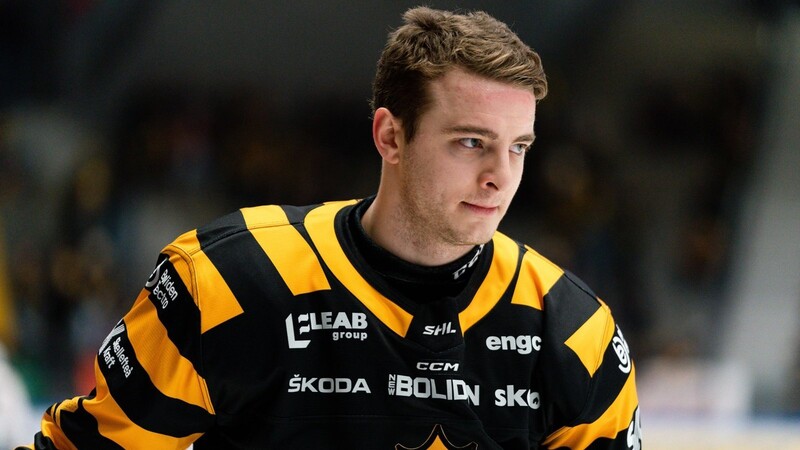 Nach einer Saison für Skelleftea AIK aus Schweden kehrt Stefan Loibl nach Deutschland zu den Adler Mannheim zurück.