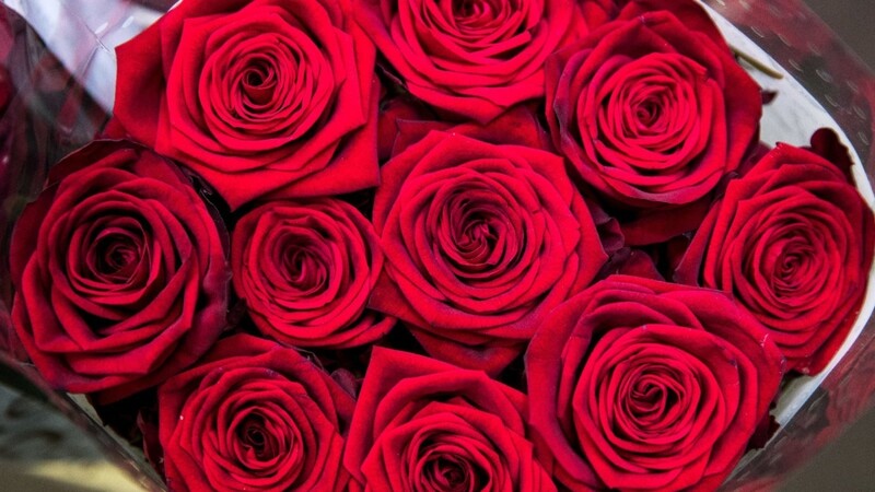 Vor allem Blumengeschäfte haben am Valentinstag Hochkonjunktur. Doch braucht's an diesem Tag überhaupt ein Geschenk? (Symbolbild)