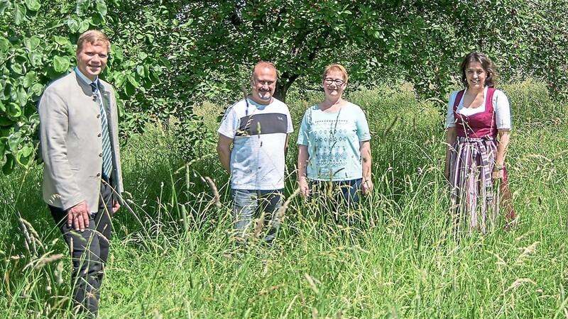 Jürgen und Susanne Pompe (Mitte) zeigen Bezirkstagspräsident Dr. Olaf Heinrich (l.) und Bezirksrätin Martina Hammerl (r.) die fast reifen Früchte der "Schwäbischen Weinweichsel", die im Originalrezept für die Schwarzwälder Kirschtorte verwendet wird.
