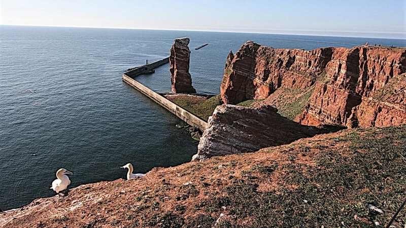 Steil und mächtig: Eher ein Kunstwerk als ein Fels ist die aus dem Meer ragende Naturstatue "Lange Anna".