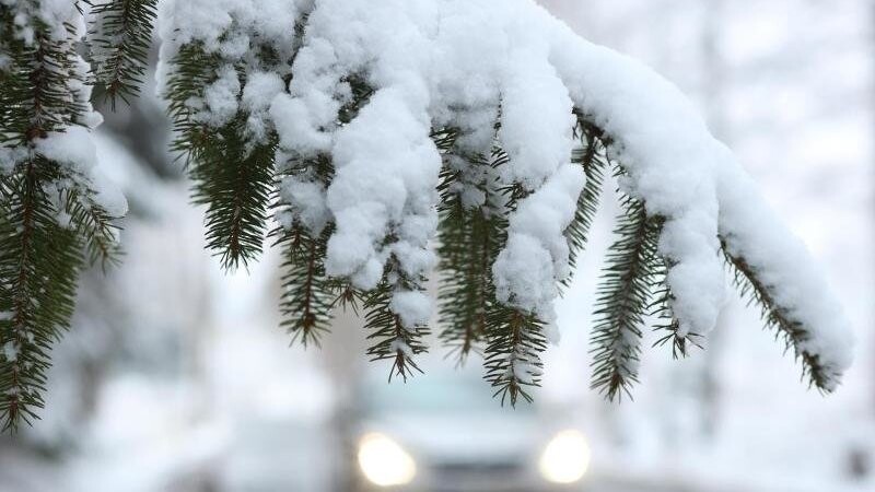 Ein Auto fährt hinter einem schneebedeckten Zweig über die Straße.