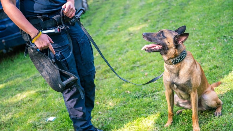 Tierarztrechnungen, Haftpflichtversicherung und Hundesteuer: Für ausgemusterte Polizeihunde müssen das die Halter selbst bezahlen.