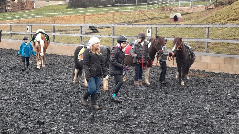 Die Mädchen lernen das Führen des Pferdes auf dem Reitplatz.