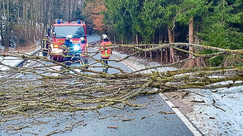 Auf der Staatsstraße 2054 im Großaibacherforst (zwischen Buch und Forstaibach) war ein Baum umgestürzt.