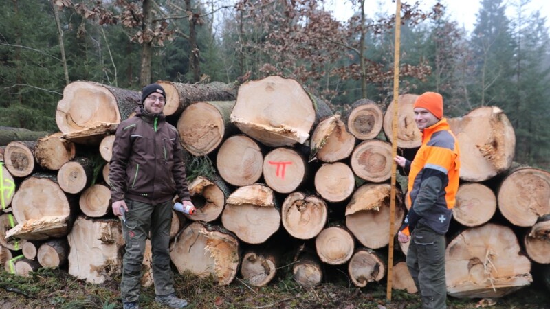 Die beiden Azubis Florian Birner (links) und Sebastian Peter bei der Holzaufnahme.