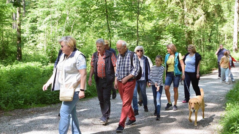 Die Gruppe bei ihrem Rundgang durch den Wald mit Forstlichem Betriebsleiter Bernd Halmen.