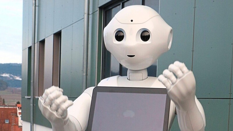 Roboter Pepper soll Gäste in mehreren Sprachen begrüßen und ihnen unter anderem den Weg zeigen können.