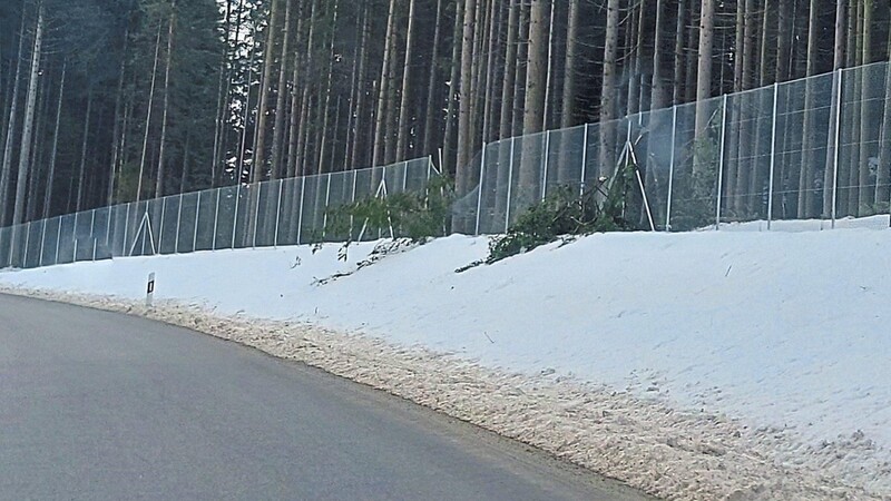 An einigen Stellen sind Bäume auf den Zaun gefallen. Dieser wird nun notdürftig hergerichtet und im Frühjahr, wenn der Schnee weg ist, repariert.
