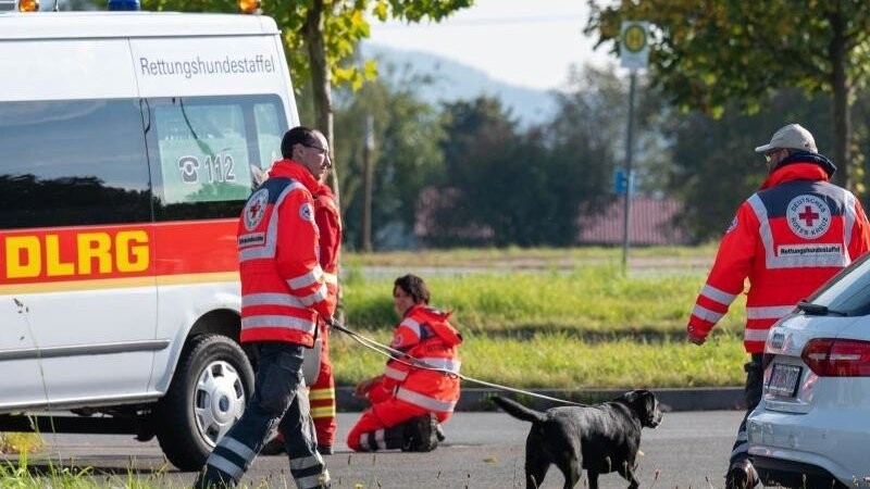 Dank eines Personensuchhunds der Hundestaffel Passau konnte der Vermisste gefunden werden. (Symbolbild)